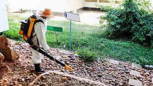Jumeirah Beach Residence, Pest Control, Low Cost Mosquito Control Al Furjan