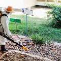 Low Cost Mosquito Control Al Furjan