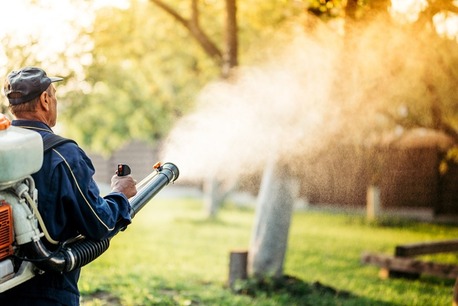 Jumeirah Beach Residence, Pest Control, Low Cost Mosquito Control Al Furjan