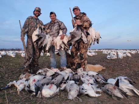 New York, Labor/Moving, The Best Duck Hunting Trips In America