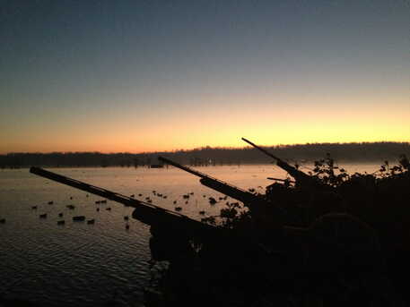 New York, Labor/Moving, The Best Duck Hunting Trips In America