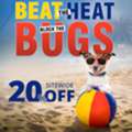 BestVetCare Summer Sale &ndash; Flat 20% OFF Pet Care Essentials!