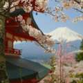 Searching Japan Travel Packages From India? Is This 8-Day Route The Best Choice?