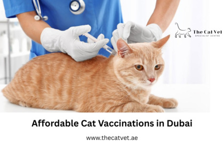 Dubai, Pet Sitting, Affordable Cat Vaccinations In Dubai