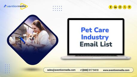 New York, General, Get A Conversion‑ready Pet Care Industry Email List Email List