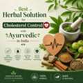 INR 660,  Herbal Cholesterol Control Solution With Arjun And Ashwagandha Benefits