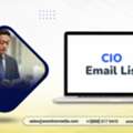 Grab  A Conversion‑ready CIO Email List Email List For Your Campaigns