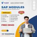Launch Your High-Growth SAP Career With Visualpath Now
