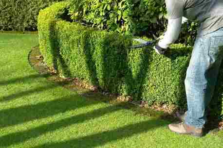 Sydney, Farm/Garden, Expert Garden Maintenance Whyalla For Year-Round Care