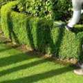 Expert Garden Maintenance Whyalla For Year-Round Care