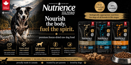 Mumbai, Pet Supplies, INR 699,  Nutrience High Protein Dog Food For Active Dogs