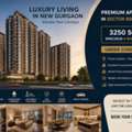 Luxury Apartment In Sector 88B Gurgaon | Trinity Sky Palazzo 3250 Sq Ft