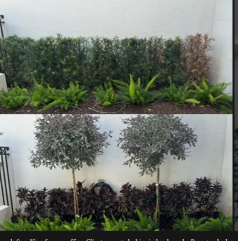 New York, Farm/Garden, Garden Design In Florida