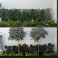 Garden Design In Florida