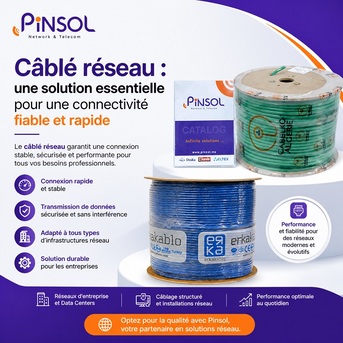 Algiers, Computers, DZD 140,  C?bl? R?seau : Une Solution Essentielle Pour Une Connectivit? Fiable Et Rapide