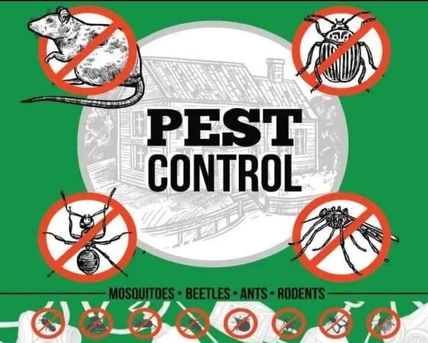 Riyadh, Apartments, Flats, Houses & Villas, FAISAL MOVERS PACKERS CLEANERS PEST CONTROL HOUSE SHIFTING AND OFFICES 0531861244 All KSA