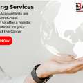 How Can Accounting Services In UAE Support Startups And Entrepreneurs?