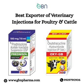 Jaipur, Health, Best Exporter Of Veterinary Injections For Poultry & Cattle