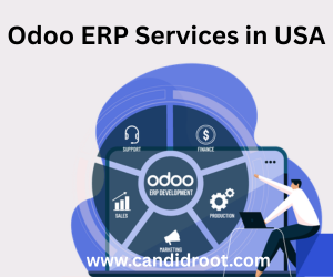 Austin, ERP, Best Odoo ERP Services In USA