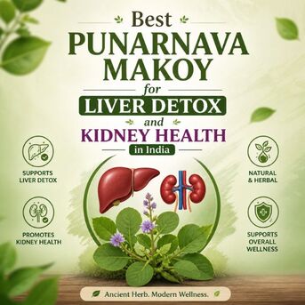 Mumbai, Health & Beauty Items, INR 545,  Ayurvedic Medicine For Fatty Liver And Natural Detox Solution