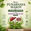 INR 545,  Ayurvedic Medicine For Fatty Liver And Natural Detox Solution
