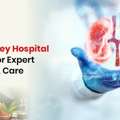 Kidney Failure Treatment Without Dialysis | Ayurvedic Hospital India