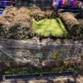 AUD 79,  Ace Landscapes Landscaping Suppliers & Garden Materials Sydney, New South Wales