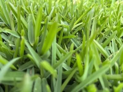 Sydney, Farm & Garden, AUD 79,  Ace Landscapes Landscaping Suppliers & Garden Materials Sydney, New South Wales