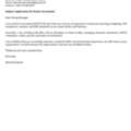 Senior Accountant / Chief Accountant
