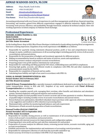 Riyadh, Job Seekers, Senior Accountant / Chief Accountant