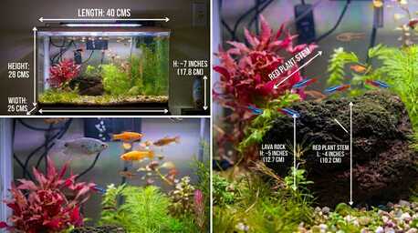 Dammam, Pet Supplies, SAR 200,  Natural Planted Aquariums For Sale