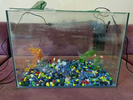 Jeddah, Household Items, SAR 1,  Aquarium And Deep Fryer