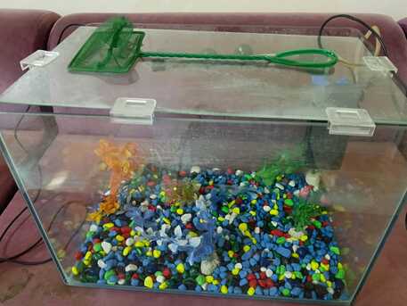 Jeddah, Household Items, SAR 1,  Aquarium And Deep Fryer