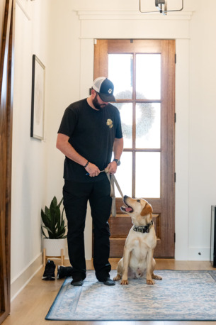 New York, Business, Mold Dog USA