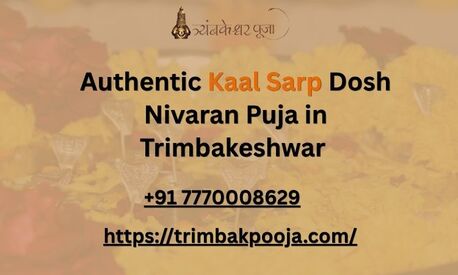 Mumbai, Business, Authentic Kaal Sarp Dosh Nivaran Puja In Trimbakeshwar