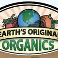Organic Fertilizer For Raised Bed (vegetable Gardens)