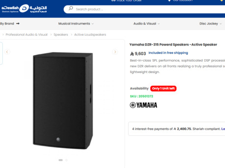 Olaya, Musical Instruments, SAR 6700,  YAMAHA DZR315