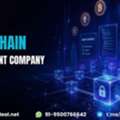 Turn Your Vision Into Secure Digital Solutions With Blockchain Development