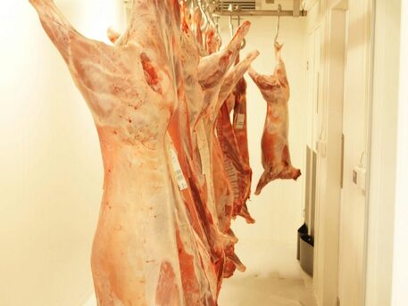 New York, Real Estate, Duramax Hog Barn Wall Panels Meet The Hygiene Requirements