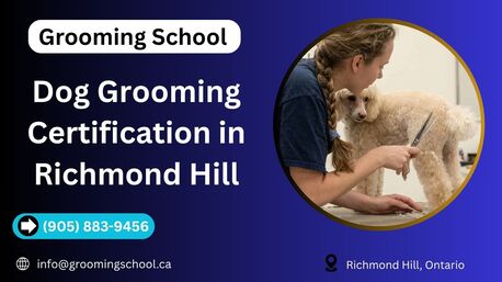 New York, Beautician, Dog Grooming Certification In Richmond Hill | Grooming School