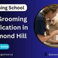 Dog Grooming Certification In Richmond Hill | Grooming School