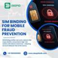 SIM Binding For Mobile Fraud Prevention