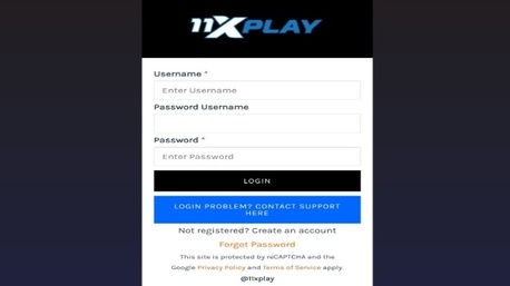 Jaipur, Business, Ultimate Guide To 11xplay Pro &ndash; Premium Betting Services