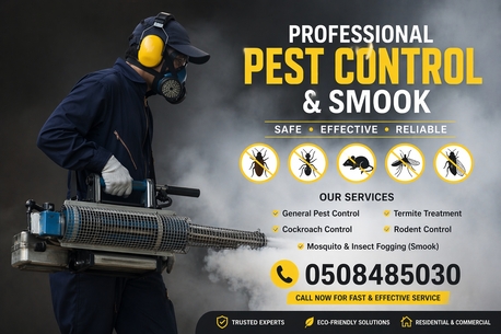 Riyadh, Pest Control, Pest Control In RIYADH 20 YEAR EXPERIENCE