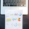 Best SEO Company In Noida - Traficxo