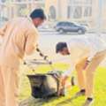 Landscape Engineer