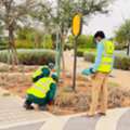 Landscape Engineer / Landscape Supervisor