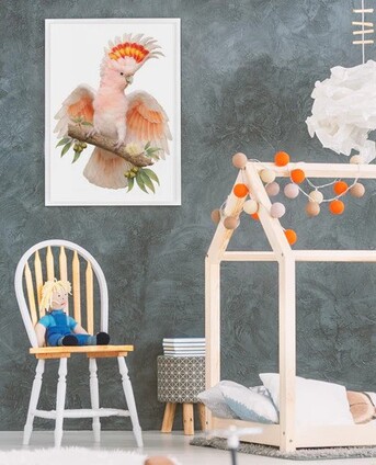 Sydney, Baby & Kid Stuff, AUD 55,  Major Mitchell