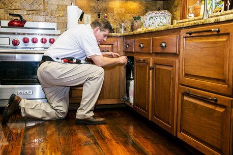 New York, Pest Control, J&J Exterminating Hammond
