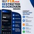 CRYPTOCURRENCY FRAUD RECOVERY HACKER FOR HIRE DIGITAL LIGHT SOLUTION